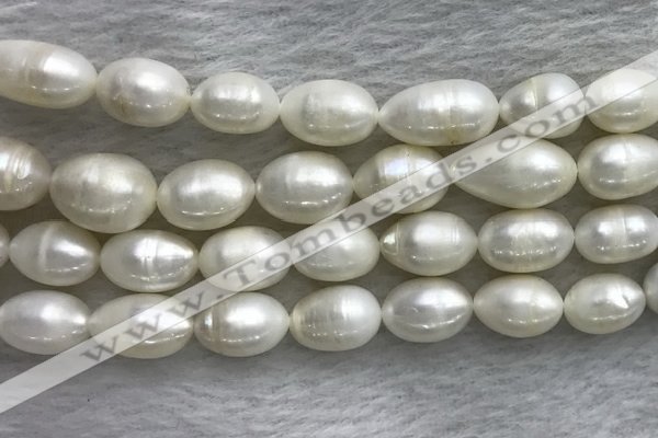 FWP205 15 inches 10mm - 11mm rice white freshwater pearl strands