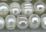 FWP37 14.5 inches 5mm - 6mm potato white freshwater pearl strands