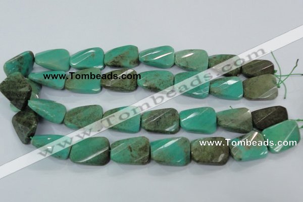 CAA101 15.5 inches 18*25mm faceted & twisted rectangle grass agate beads