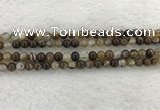 CAA1821 15.5 inches 6mm round banded agate gemstone beads