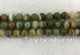 CAA1976 15.5 inches 16mm round banded agate gemstone beads