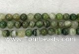 CAA1985 15.5 inches 14mm round banded agate gemstone beads