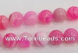 CAA203 15.5 inches 10mm round madagascar agate beads wholesale