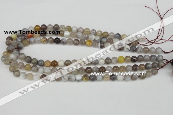 CAA224 15.5 inches 8mm round botswana agate gemstone beads