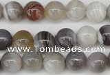 CAA225 15.5 inches 10mm round botswana agate gemstone beads