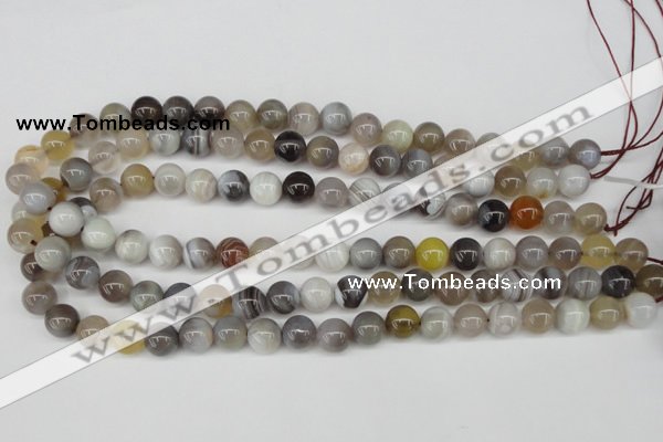 CAA225 15.5 inches 10mm round botswana agate gemstone beads