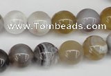 CAA226 15.5 inches 12mm round botswana agate gemstone beads