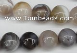 CAA227 15.5 inches 14mm round botswana agate gemstone beads