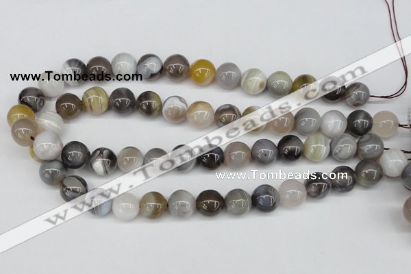 CAA227 15.5 inches 14mm round botswana agate gemstone beads