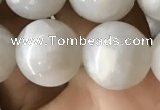 CAA2344 15.5 inches 12mm round white crazy lace agate beads wholesale