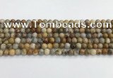 CAA2349 15.5 inches 6mm round crazy lace agate beads wholesale