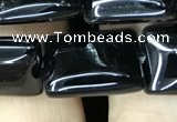 CAA2567 15.5 inches 12*16mm rectangle black agate beads wholesale