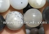 CAA3577 15.5 inches 8mm round parral dendrite agate beads