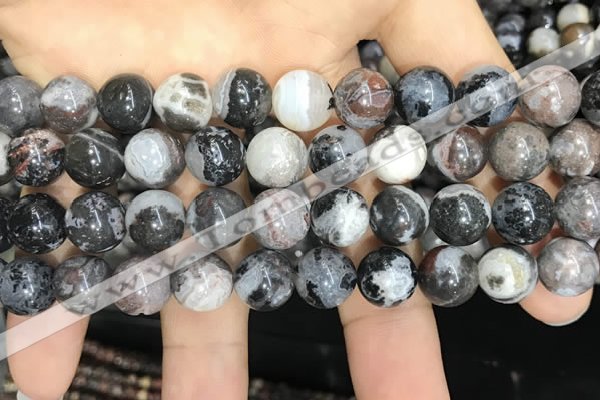 CAA3594 15.5 inches 10mm round black zebra agate beads wholesale