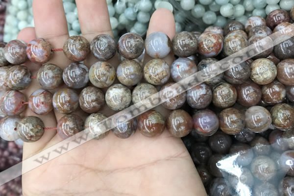 CAA3636 15.5 inches 4mm round flower agate beads wholesale