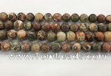 CAA3702 15.5 inches 12mm round rainforest agate beads wholesale