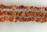 CAA3806 15.5 inches 4*6mm - 8*10mm chips red agate beads wholesale