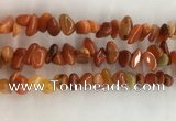 CAA3807 15.5 inches 8*12mm - 10*14mm chips red agate beads wholesale