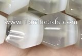 CAA3951 15.5 inches 12*12mm Madagascar agate beads wholesale