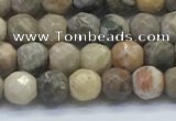 CAA3960 15.5 inches 4mm faceted round chrysanthemum agate beads