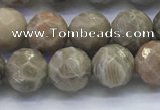 CAA3962 15.5 inches 8mm faceted round chrysanthemum agate beads