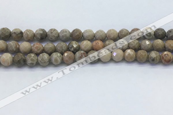 CAA3962 15.5 inches 8mm faceted round chrysanthemum agate beads