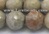 CAA3965 15.5 inches 14mm faceted round chrysanthemum agate beads