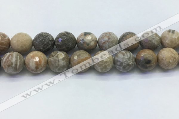 CAA3967 15.5 inches 18mm faceted round chrysanthemum agate beads