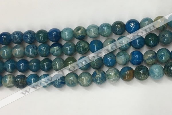 CAA3977 15.5 inches 6mm round chrysanthemum agate beads