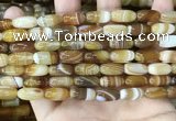 CAA4172 15.5 inches 7*14mm rice line agate beads wholesale