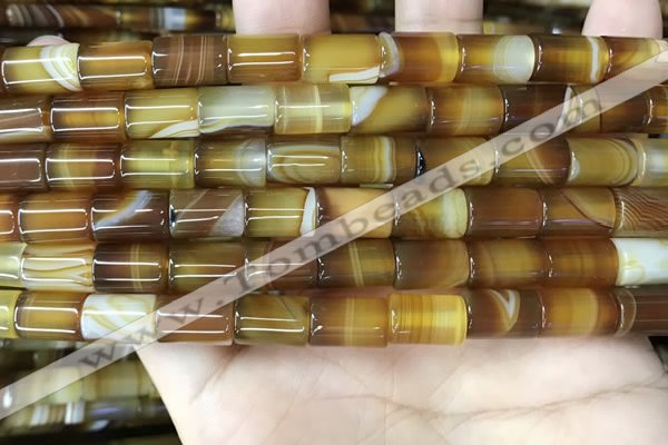 CAA4178 15.5 inches 8*12mm tube line agate beads wholesale