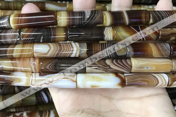 CAA4181 15.5 inches 10*30mm tube line agate beads wholesale