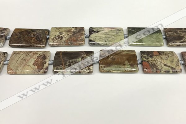 CAA4359 15.5 inches 25*35mm rectangle rainforest agate beads