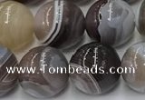 CAA4867 15.5 inches 10mm round Botswana agate beads wholesale