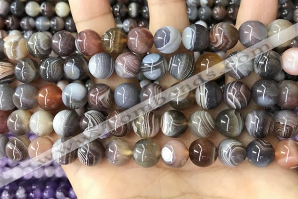 CAA4918 15.5 inches 10mm round Botswana agate beads wholesale