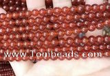 CAA4947 15.5 inches 6mm round red agate beads wholesale