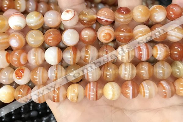 CAA4952 15.5 inches 10mm round Madagascar agate beads wholesale