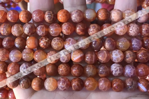 CAA5072 15.5 inches 8mm round red dragon veins agate beads