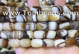 CAA5107 15.5 inches 10*14mm drum striped agate beads wholesale