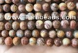 CAA5274 15.5 inches 12mm round natural red crazy lace agate beads