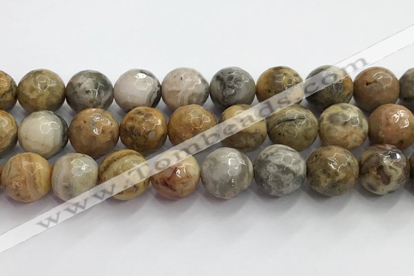 CAA5295 15.5 inches 14mm faceted round crazy lace agate beads wholesale