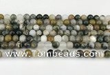 CAA5330 15.5 inches 6mm round ocean agate beads wholesale