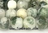 CAA5800 15 inches 6mm faceted round tree agate beads