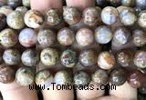 CAA6269 15 inches 12mm round fire agate gemstone beads