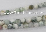 CAA700 15.5 inches 6mm round tree agate gemstone beads wholesale