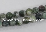 CAA701 15.5 inches 8mm round tree agate gemstone beads wholesale