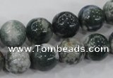 CAA703 15.5 inches 12mm round tree agate gemstone beads wholesale