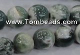 CAA704 15.5 inches 14mm round tree agate gemstone beads wholesale