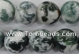 CAA705 15.5 inches 16mm round tree agate gemstone beads wholesale