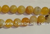 CAA89 15.5 inches 10mm round botswana agate gemstone beads